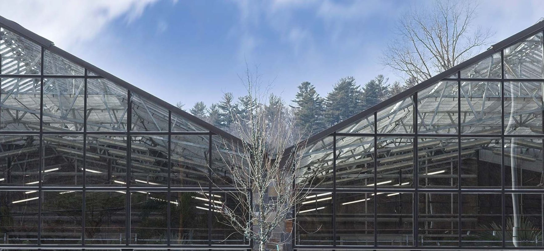 WardsExteriorGrhs2_process